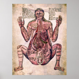 ANATOMY of PREGNANT WOMAN c. 14 century Poster