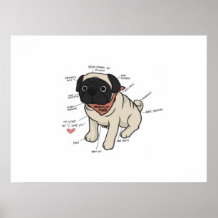 Anatomy Of Pug Dog Chart