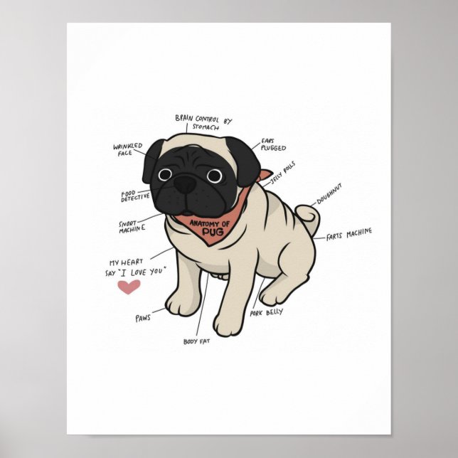 Anatomy Of Pug Dog Chart (Front)