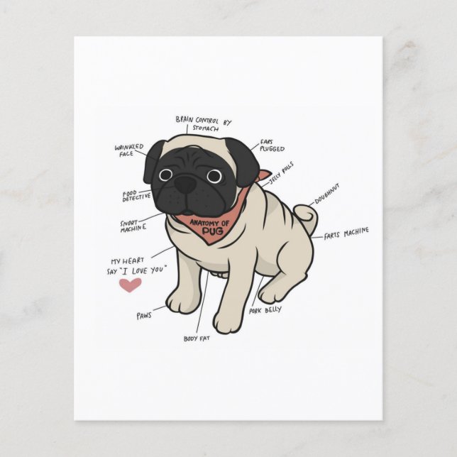 Anatomy Of Pug Dog Chart Flyer (Front)