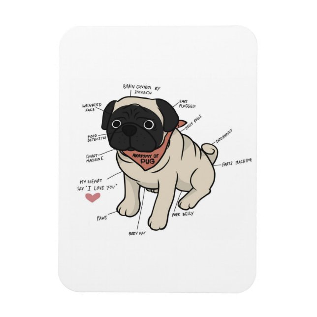Anatomy Of Pug Dog Chart Magnet (Vertical)