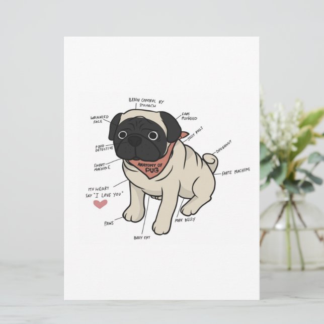 Anatomy Of Pug Dog Chart Menu (Standing Front)
