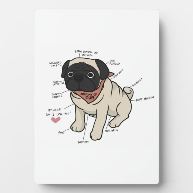 Anatomy Of Pug Dog Chart Plaque (Front)