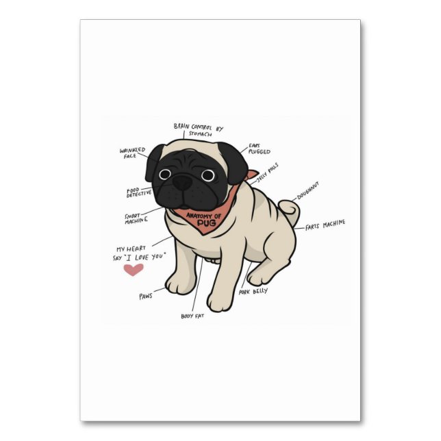 Anatomy Of Pug Dog Chart Table Number (Front)