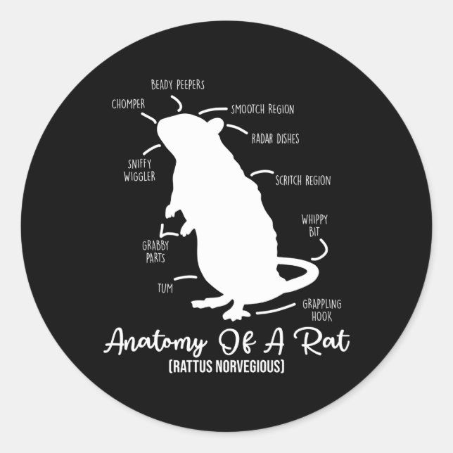 Anatomy Of Rat For Any Rat And Pet Rat Owners Classic Round Sticker (Front)