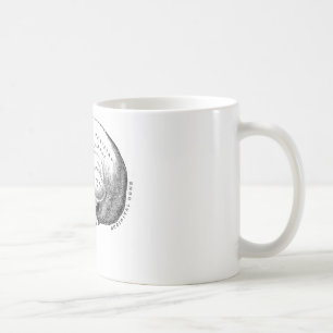 Anatomy of Skull Coffee Mug