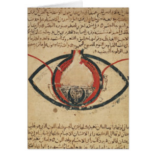 Anatomy of the Eye, from a book on eye diseases