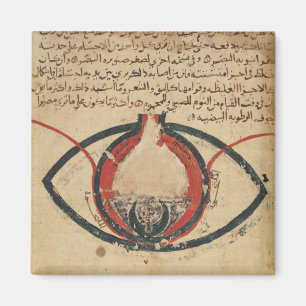 Anatomy of the Eye, from a book on eye diseases Magnet