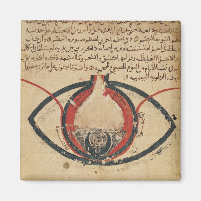 Anatomy of the Eye, from a book on eye diseases Magnet (Front)