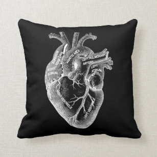 Biology Cushions - Decorative & Throw Cushions | Zazzle UK