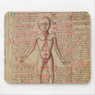 Anatomy of the human body mouse mat