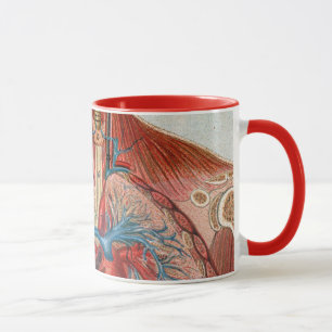 Anatomy of the Human Body Mug