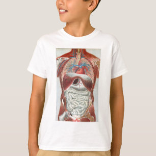 Anatomy of the Human Body T-Shirt