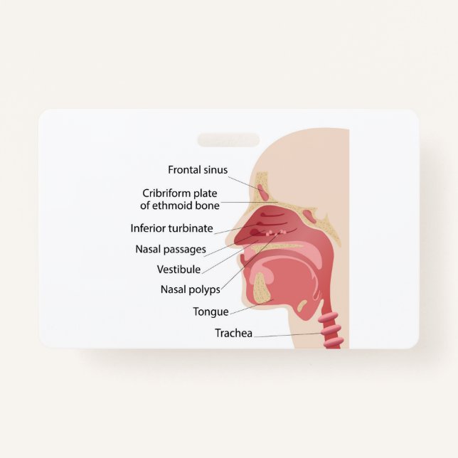 Anatomy of the human nose ID badge (Front)