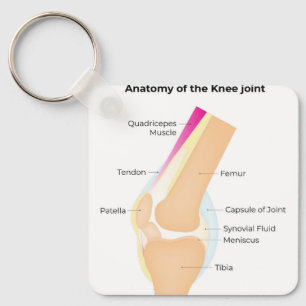 Anatomy of the Knee Key Ring