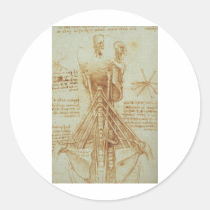 Anatomy of the Neck by Leonardo Da Vinci c. 1515 Classic Round Sticker