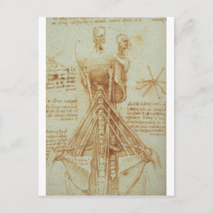 Anatomy of the Neck by Leonardo Da Vinci c. 1515 Postcard