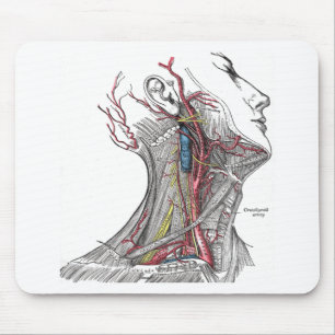 Anatomy of the Neck Mouse Mat