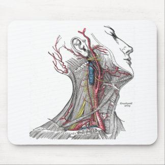 Anatomy of the Neck Mouse Mat