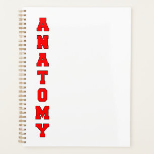 Anatomy Planner