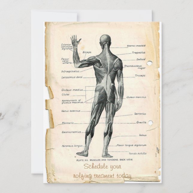 Anatomy Posterior Invitation (Front)