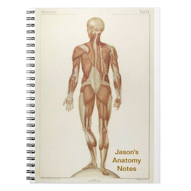 Anatomy Posterior Notebook (Front)