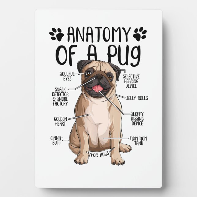 anatomy pug dog pug lover sweat plaque (Front)