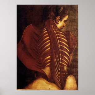 Anatomy/Skeletal of Female Back Poster