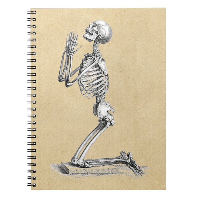 Anatomy Skeleton Illustration Notebook (Front)