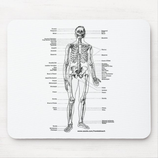 ANATOMY SKELETON T-SHIRTS AND GIFTS MOUSE MAT (Front)