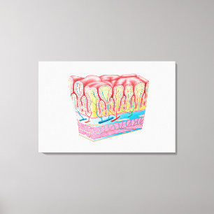 Anatomy Structure And Layers Of The Stomach Wall Canvas Print