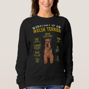 Anatomy Welsh Terrier For Women Men Sweatshirt