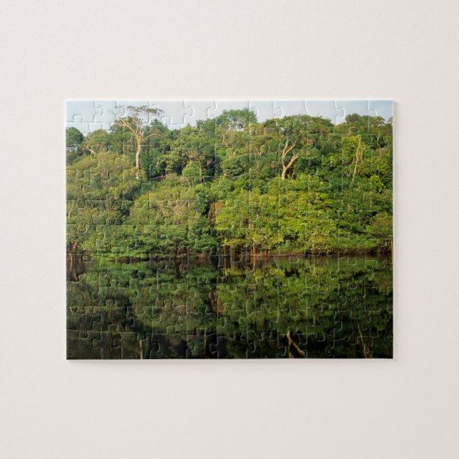 Anavilhanas, Amazonas, Brazil. Rainforest river Jigsaw Puzzle (Horizontal)