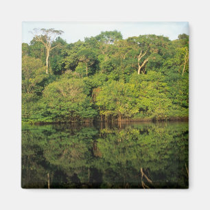Anavilhanas, Amazonas, Brazil. Rainforest river Magnet