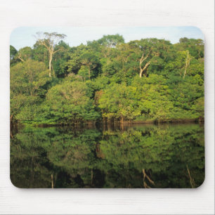 Anavilhanas, Amazonas, Brazil. Rainforest river Mouse Mat