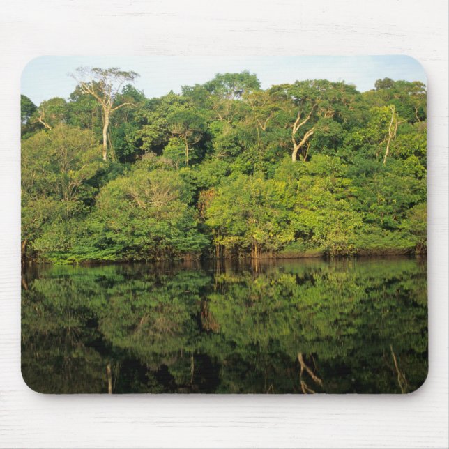 Anavilhanas, Amazonas, Brazil. Rainforest river Mouse Mat (Front)