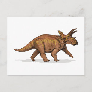 Anchiceratops Dinosaur Postcard