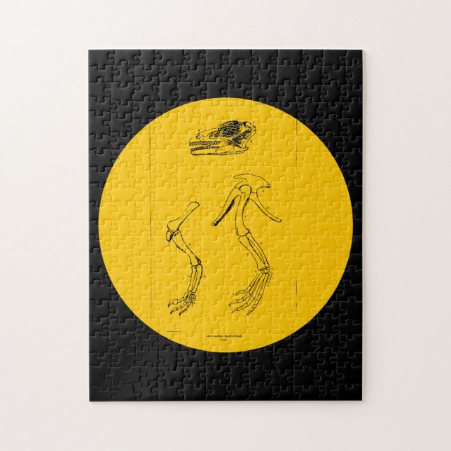 Anchisaurus Colurus Jigsaw Puzzle (Vertical)