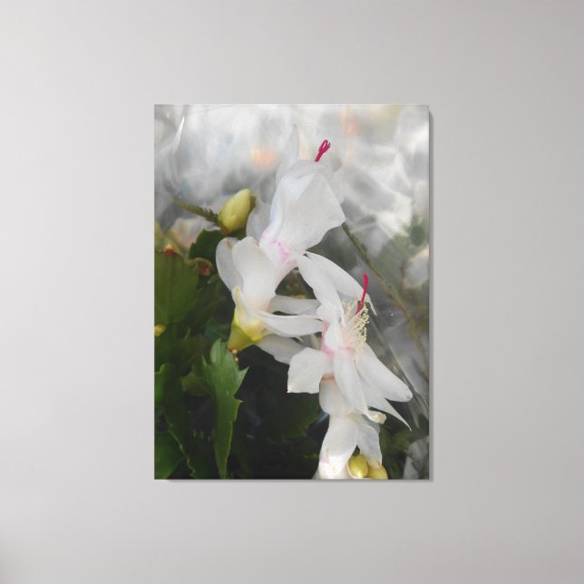 Ancia Canvas Print (Front)