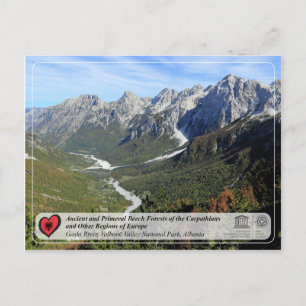 Ancient and Primeval Beech Forests - Gashi River Postcard