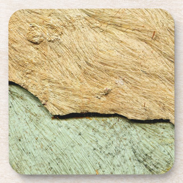 Ancient Animal Skins Coaster (Front)