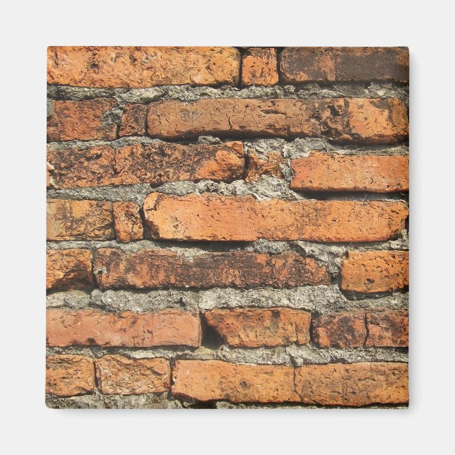 Ancient Brick Wall Magnet (Front)