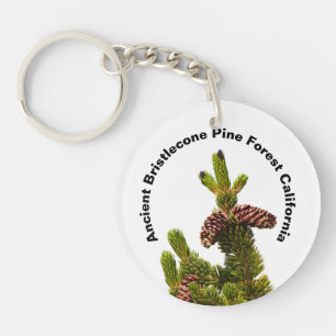 Ancient Bristlecone Pine Forest California Key Ring