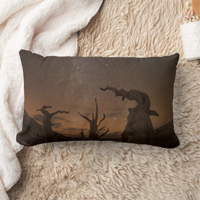 Ancient Bristlecone Pine Forest | California Lumbar Cushion (Blanket)