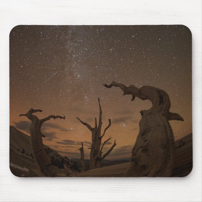 Ancient Bristlecone Pine Forest | California Mouse Mat (Front)