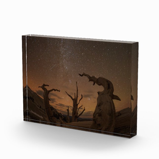 Ancient Bristlecone Pine Forest | California Photo Block (Right)