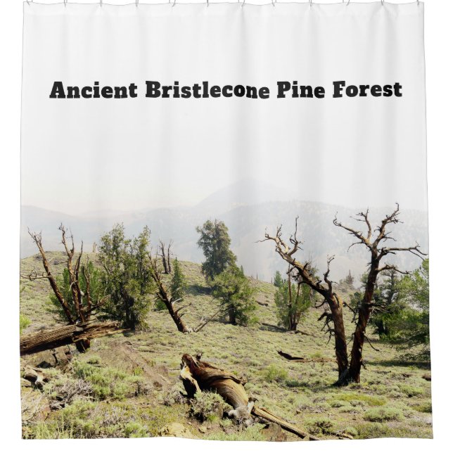 Ancient Bristlecone Pine Forest California Shower Curtain (Front)