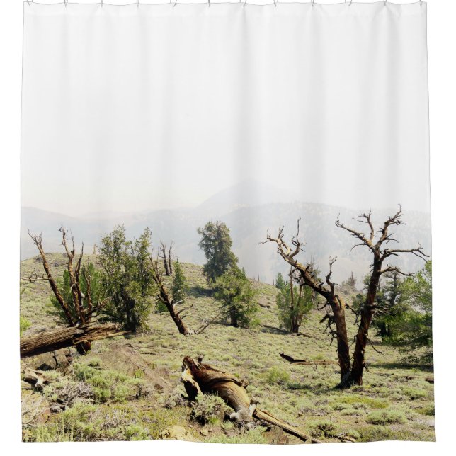 Ancient Bristlecone Pine Forest California Shower Curtain (Front)