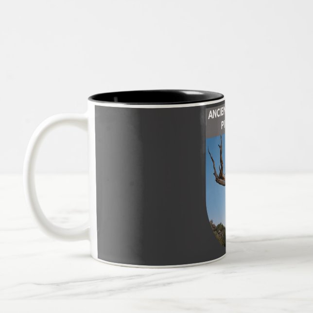 Ancient Bristlecone Pine Forest  Two-Tone Coffee Mug (Left)