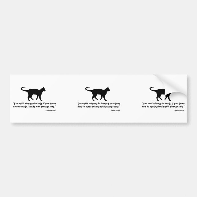 Ancient Cat Proverb Bumper Sticker (Front)